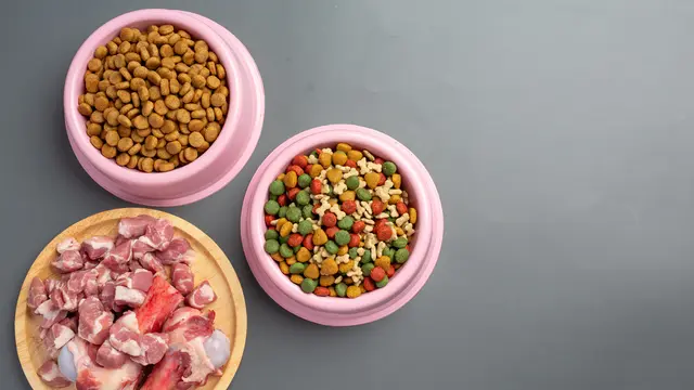 Makanan Hewan Peliharaan