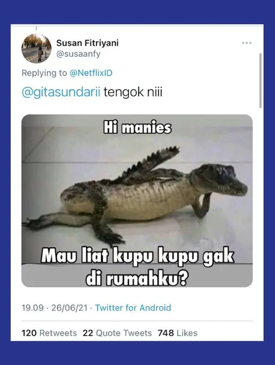 Jadi mana yang lebih bahaya buaya atau kupu-kupu? (Foto: Twitter)