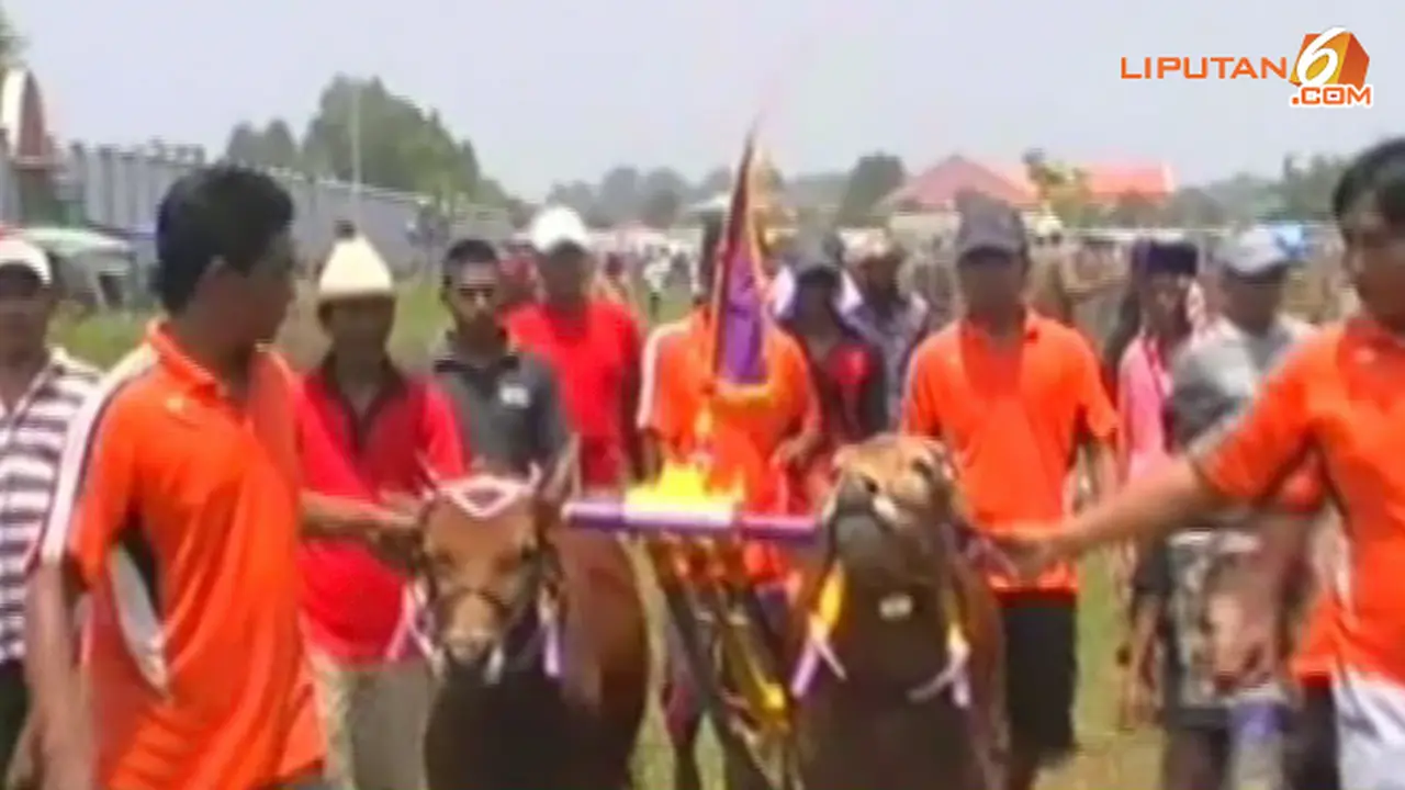 karapan-sapi-131107-a.jpg