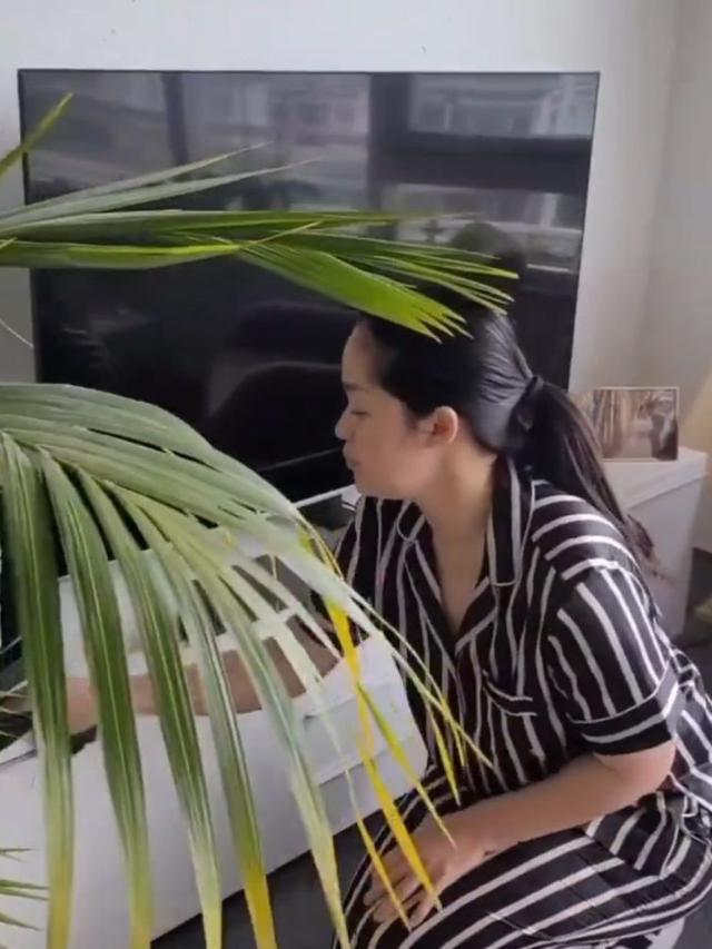 Potret Rumah Gracia Indri di Belanda, Desainnya Simpel tapi Nyaman dan Elegan