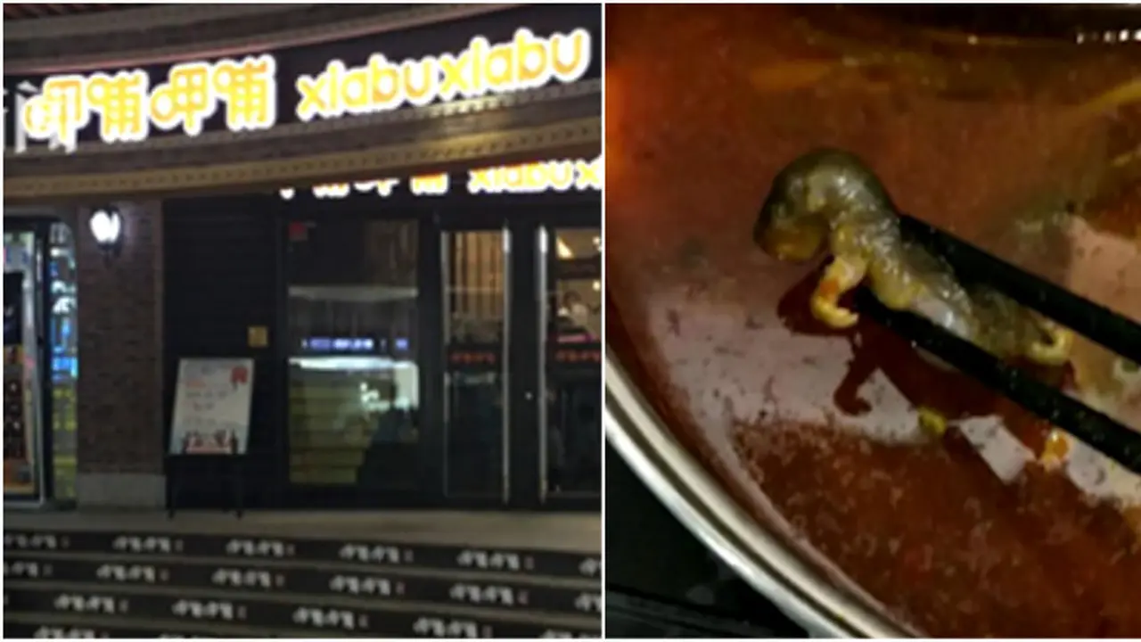 Wanita Hamil Temukan Tikus pada Makanan, Restoran Malah Berikan Uang Untuk Aborsi
