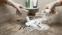 12 Cara Mengusir Cacing dari Kamar Mandi Tanpa Bahan Kimia, Aman dan Efektif