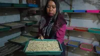 Melihat Produksi Tempe Kacang Khas Malang: Gurih dan Kaya Gizi