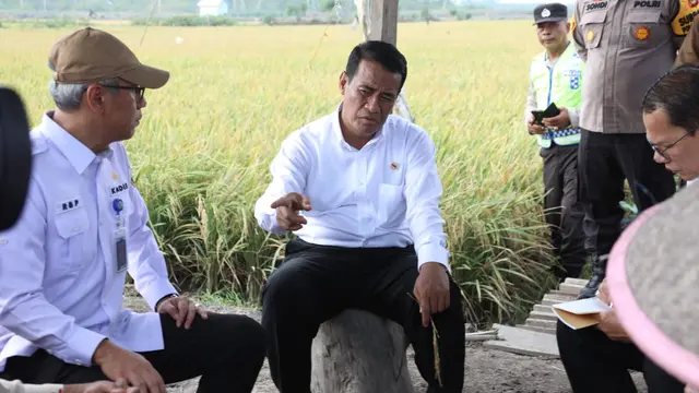 Optimalkan Lahan Rawa, Mentan Gandeng Para Pemuda dan Penyuluh Pertanian