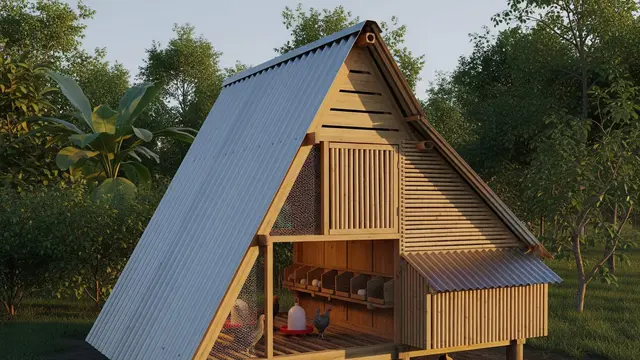 desain kandang ayam yang bikin ayam cepat bertelur