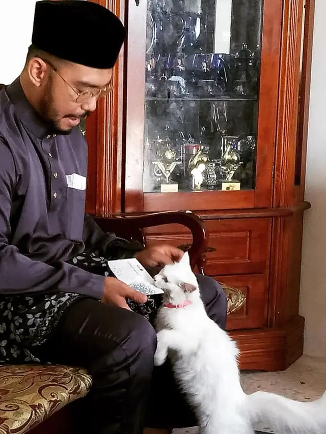Bikin Gemas, Begini Penampakan Kalo Kucing Ikut Lebaran