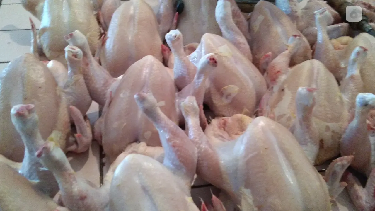 Daging ayam potong segar di Pasar Slipi
