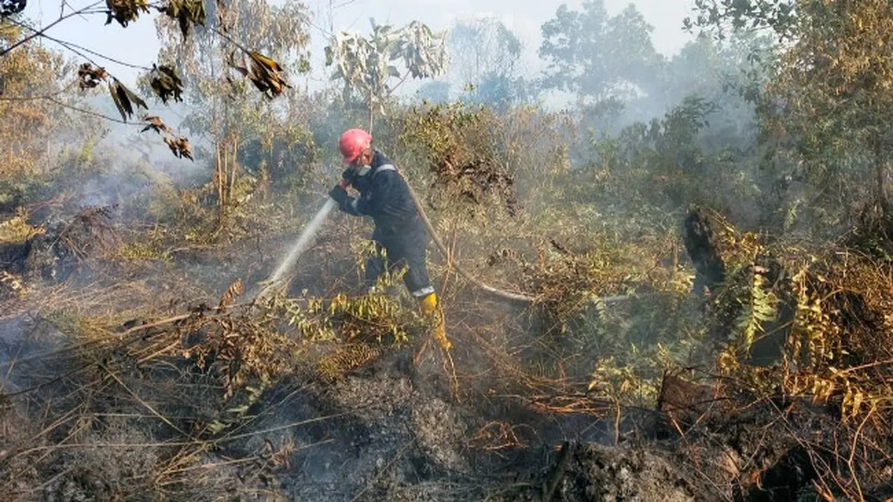 Petugas memadamkan kebakaran lahan di Jalan Riau ujung, Kecamatan Payung Sekaki, Pekanbaru.