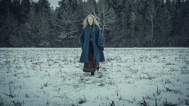 The Witcher (Netflix)