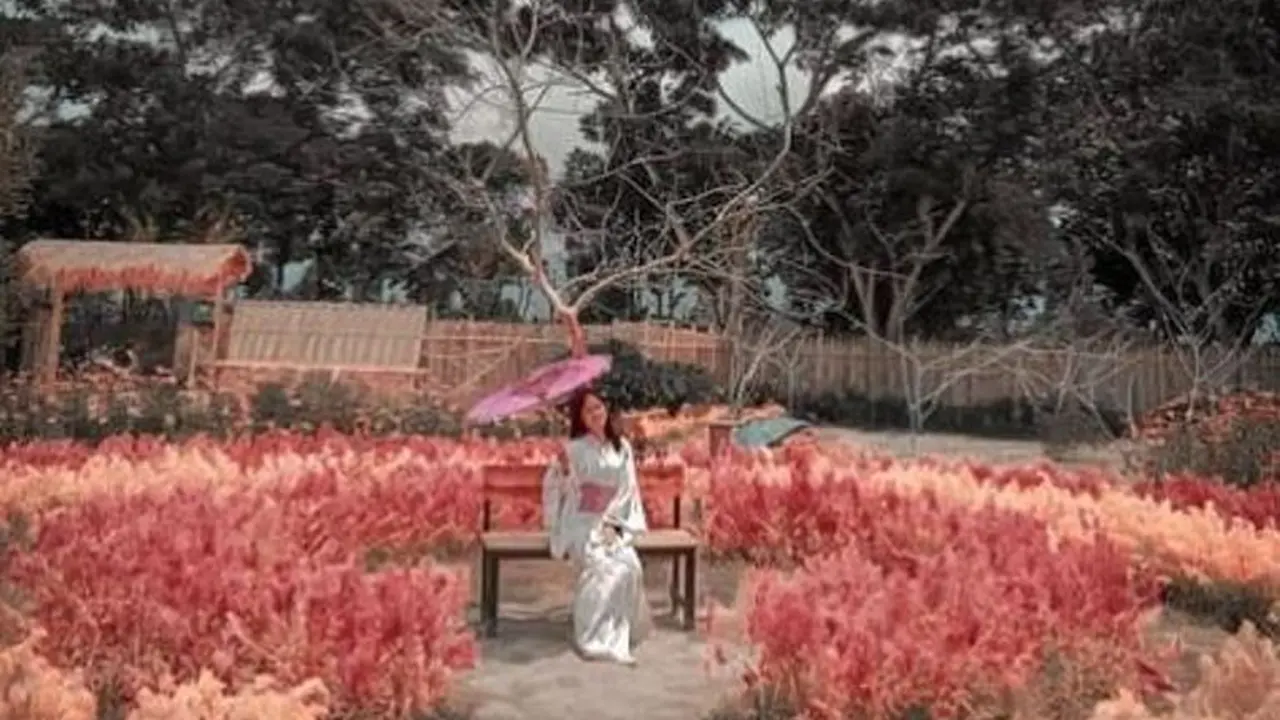 Taman Sosmed di Ampenan, Mataram, NTB