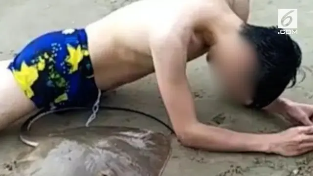 Seorang pria di China alami nasib tragis, ia tersengat duri ikan pari tepat di kemaluannya. Ikan menyangka pria tersebut ancaman karena menghalangi jalurnya berenang.