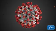 Ilustrasi Novel Coronavirus 2019 (2019-nCoV). Hingga saat ini, wabah virus corona masih belum bisa dimusnahkan. (CDC via AP, File)