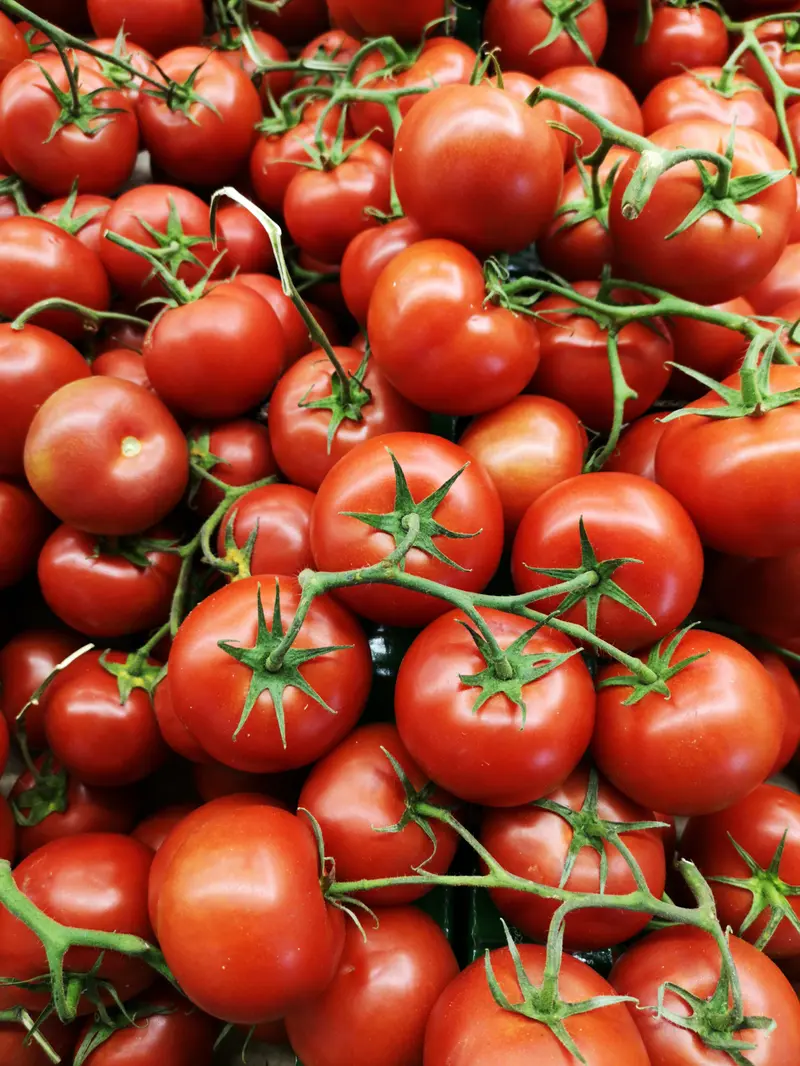 7 Manfaat yang Didapat Tubuh Jika Makan Tomat Setiap Hari