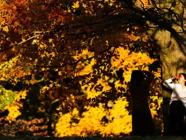 Seseorang berpose pada sore musim gugur di Taman Sejarah Nasional Valley Forge, Valley Forge, Pennsylvania, Amerika Serikat, 1 November 2021. Musim gugur umumnya terjadi sekitar bulan Agustus hingga Oktober. (AP Photo/Matt Rourke)