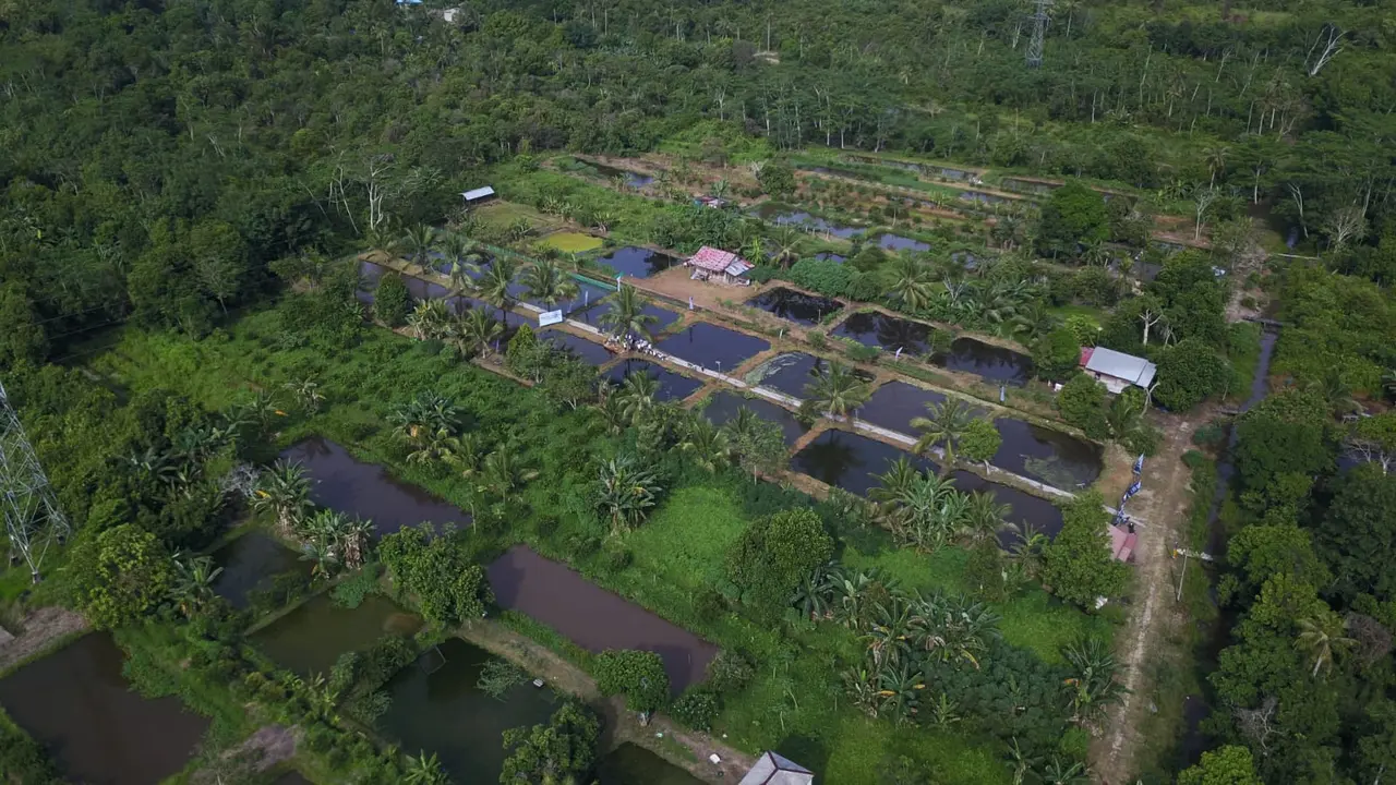 Kementerian Kelautan dan Perikanan
