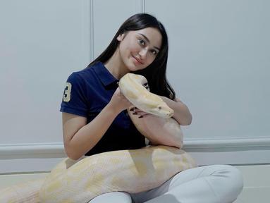 Terlepas dari itu, keseharian Memes Prameswari tak pernah luput dari sorotan para penggemarnya. Salah satunya aksi wanita 26 tahun ini memandikan ular piton berukuran jumbo. (Liputan6.com/IG/@memes_prameswari)
