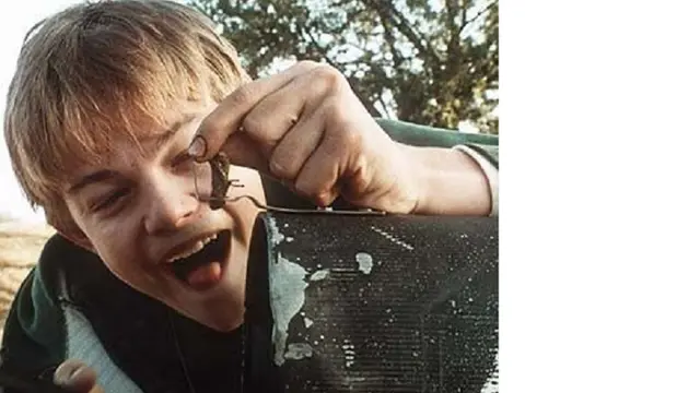 Leonardo Dicaprio 