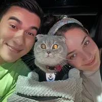 Momen Enzy Storia dan Molen Kasetra membagikan cerita manis bersama seekor kucing betina jenis Scottish Fold bernama Phoebe (Instagram/@enzystoria)