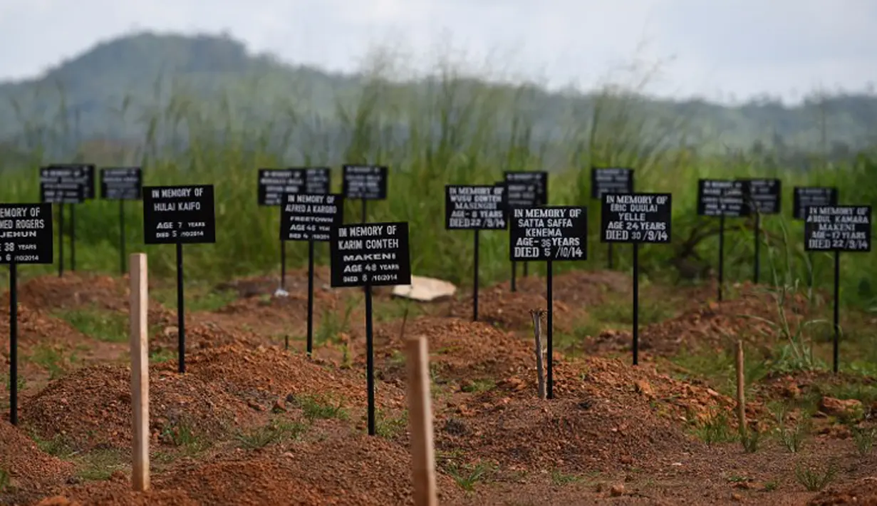 Sejumlah batu nisan yang bertuliskan nama korban meninggal akibat virus Ebola yang di makamkan di pemakaman masal di Kenema, 15 November 2014. (AFP PHOTO/ FRANCISCO LEONG)