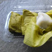 Gambar ilustrasi Nagasari (sumber: wikipedia)