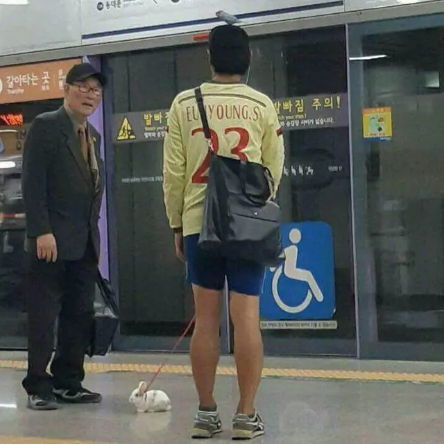6 Aksi Kocak Orang Pamer Hewan Peliharaannya Ini Bikin Tepuk Jidat
