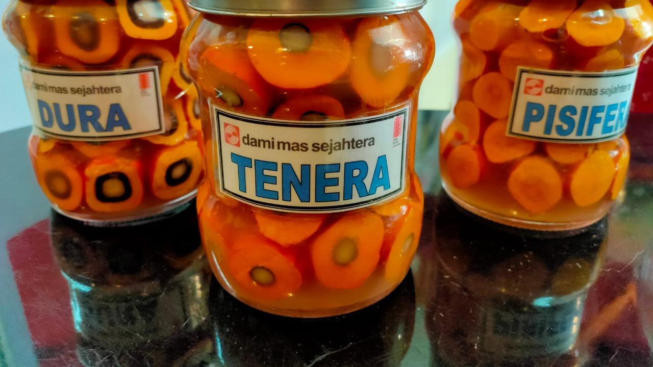 Pengusaha di Sumsel Harapkan Omnibus Law Sederhanakan Regulasi Industri Sawit