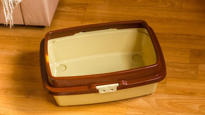 Litter box kucing (Shutterstock).