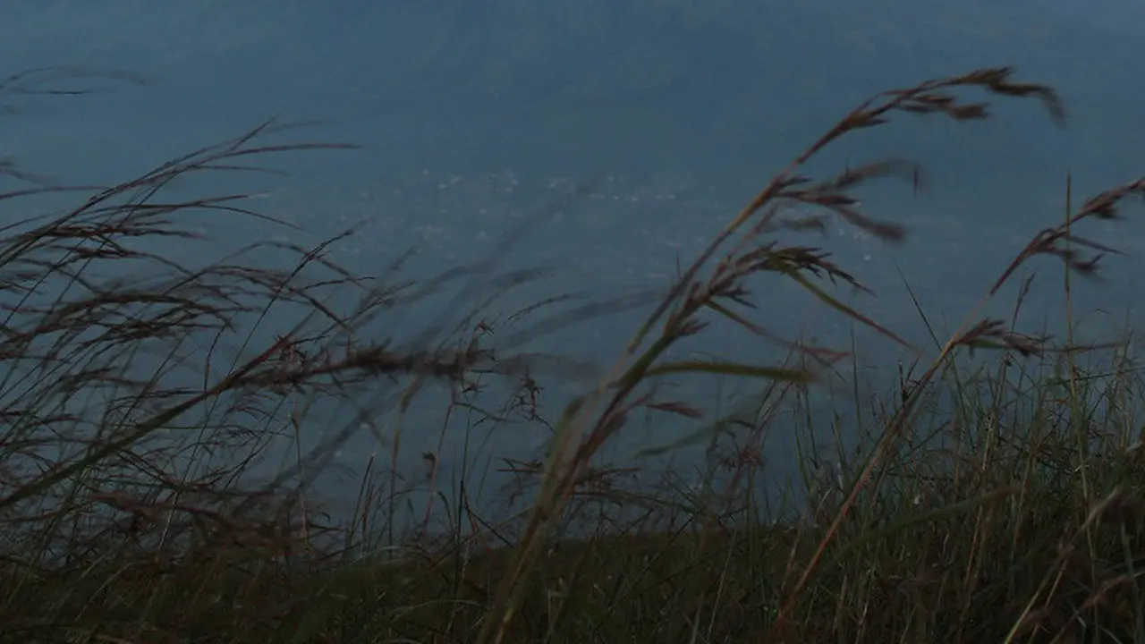 Gunung Arjuno Welirang (foto: tahurarsoerjo.dishut.jatimprov.go.id)