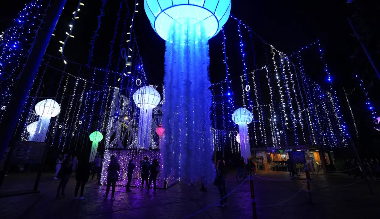 Lampu Natal menghiasi Kebun Raya Jose Celestino Mutis di Bogota, Kolombia, 16 Desember 2021. Dari populasi Kolombia yang berjumlah 49.650.000 jiwa, sekitar 71 persen di antaranya beragama Katolik. (AP Photo/Fernando Vergara)