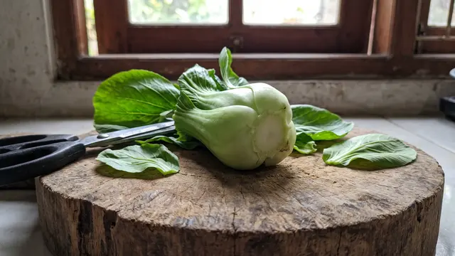 Pangkal Pakcoy yang Masih Segar