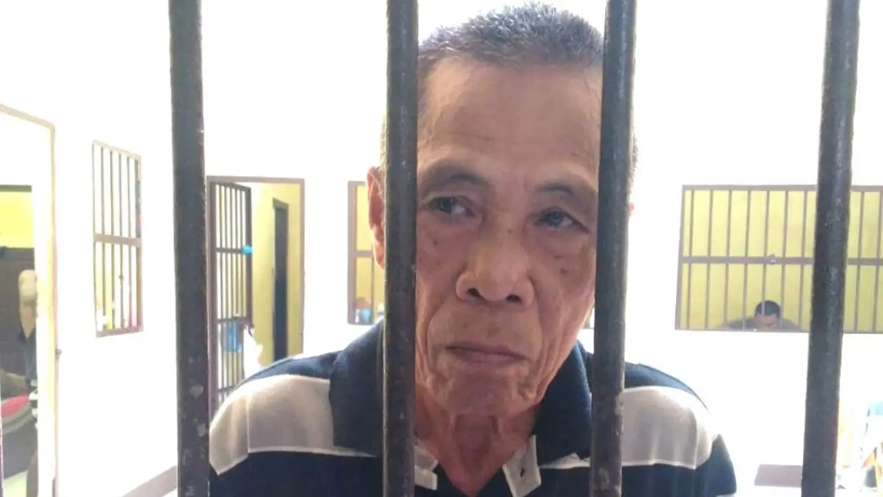 Tuduhan Pembalakan Liar pada Penebang Pinus yang Ditanam Ayah