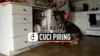 THUMBNAIL anjing
