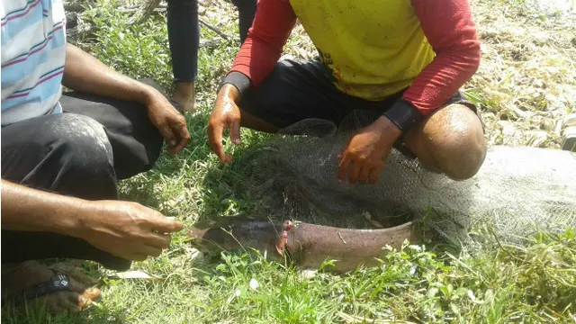 Banjir di Desa Bajang Ponorogo