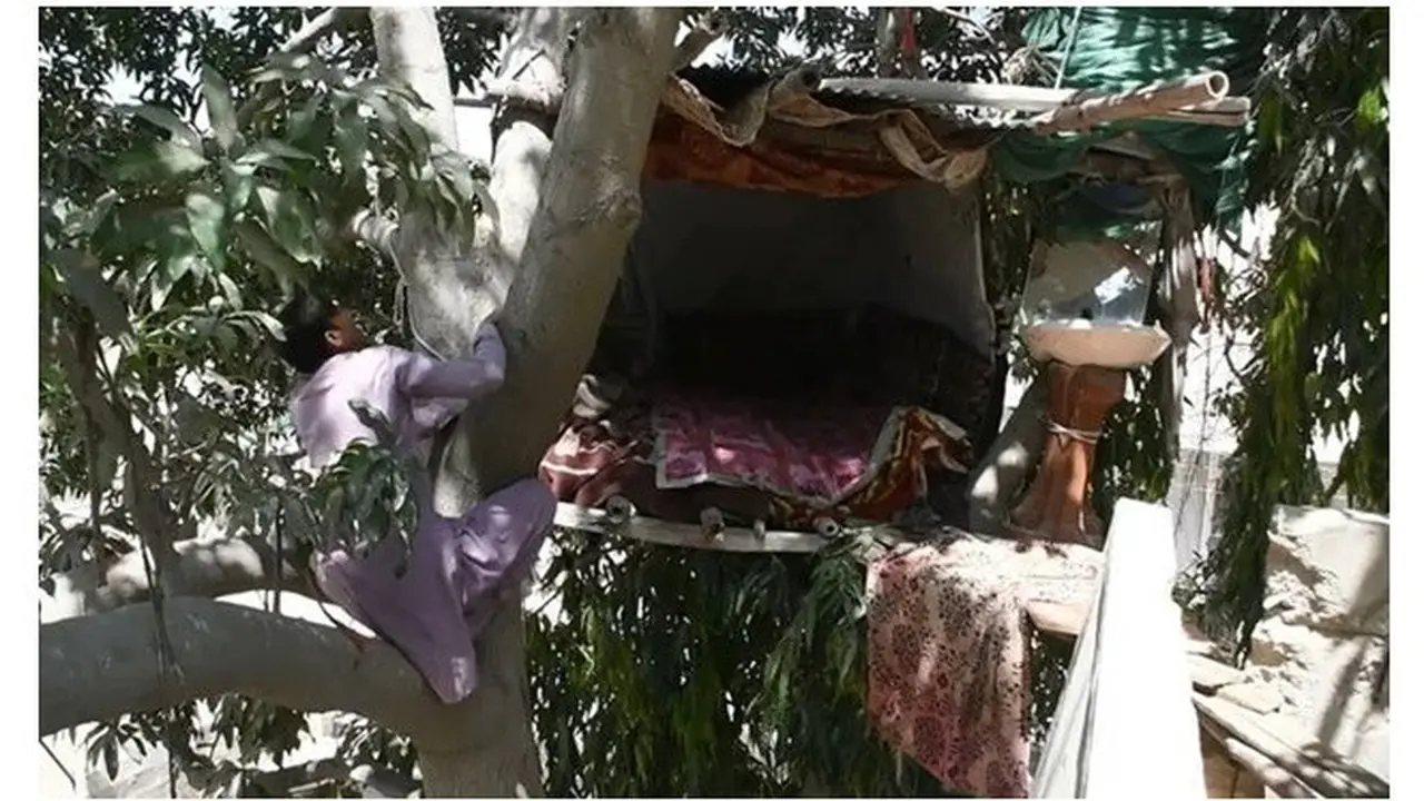 Terlalu Miskin, Pria Ini Putuskan Jadi 'Tarzan' dan 8 Tahun Tinggal di Rumah Pohon
