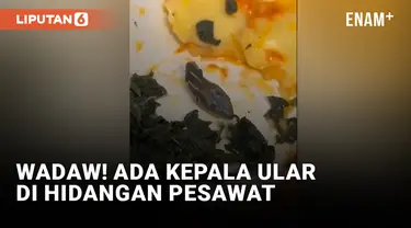 Horor! Kru Kabin Temukan Kepala Ular di Makanan Pesawat