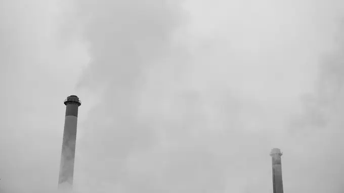 Waspada, Ini Dampak Buruk Polusi Udara pada Kesehatan Mental