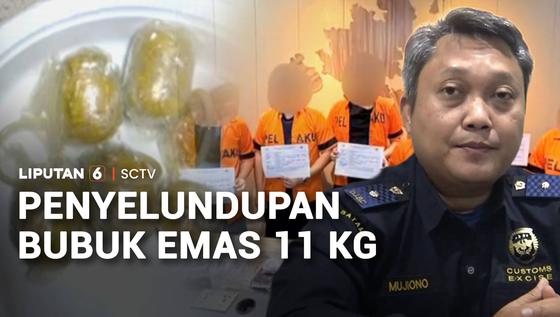 Penyelundupan Bubuk Emas 11 Kilogram ke Singapura Digagalkan!