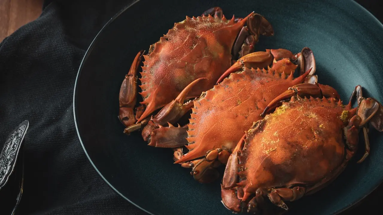Ilustrasi masakan kepiting