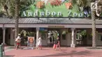 Seekor jaguar kabur dari kandangnya di kebun binatang Audubon, New Orleans, Amerika Serikat, dan membunuh sembilan hewan lainnya di bonbin itu.