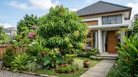 10 Pohon Buah yang Tetap Cantik Sebelum Berbuah, Cocok untuk Taman Rumah