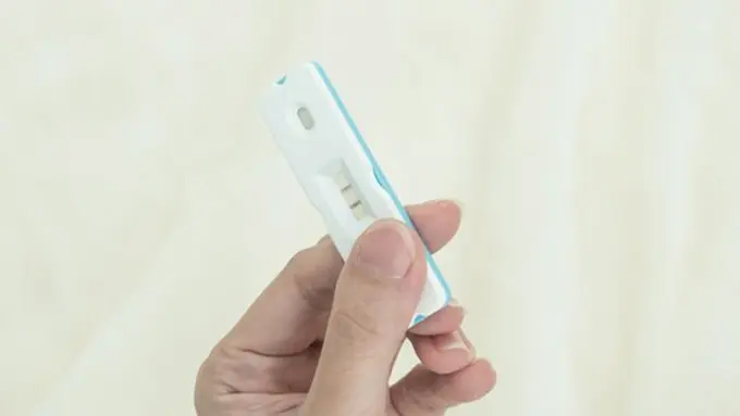 Foto: copyright shutterstock.com