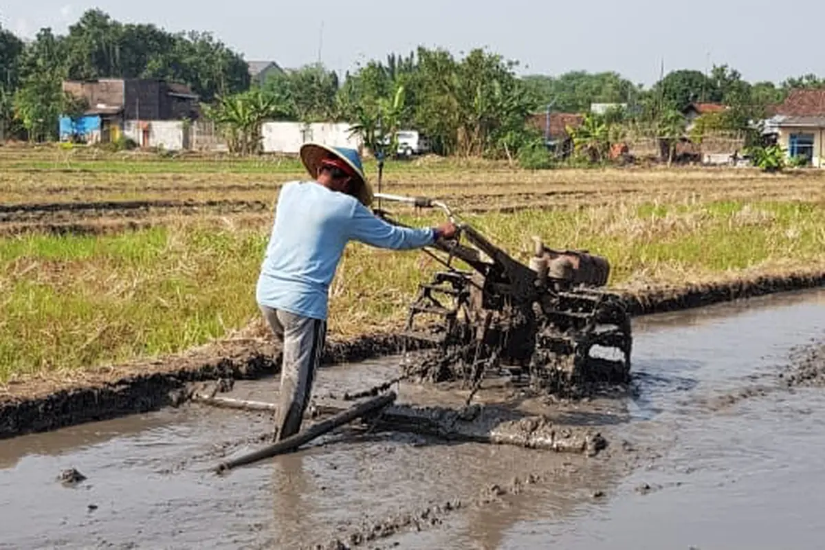 Lampung Selatan Segera Punya Perda Lahan Pertanian dan Pangan Berkelanjutan
