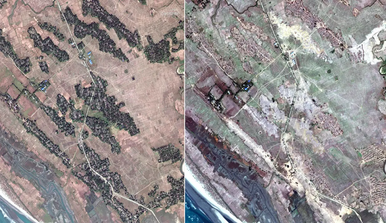 Citra satelit DigitalGlobe pada 20 Desember 2017 (kiri) dan 13 Februari 2018 (kanan) di Desa Zona Kar Yar, sekitar 24 kilometer tenggara Maungdaw, Rakhine, Myanmar.  Perataan desa Rohingya dilakukan dalam beberapa pekan terakhir. (DigitalGlobe via AP)