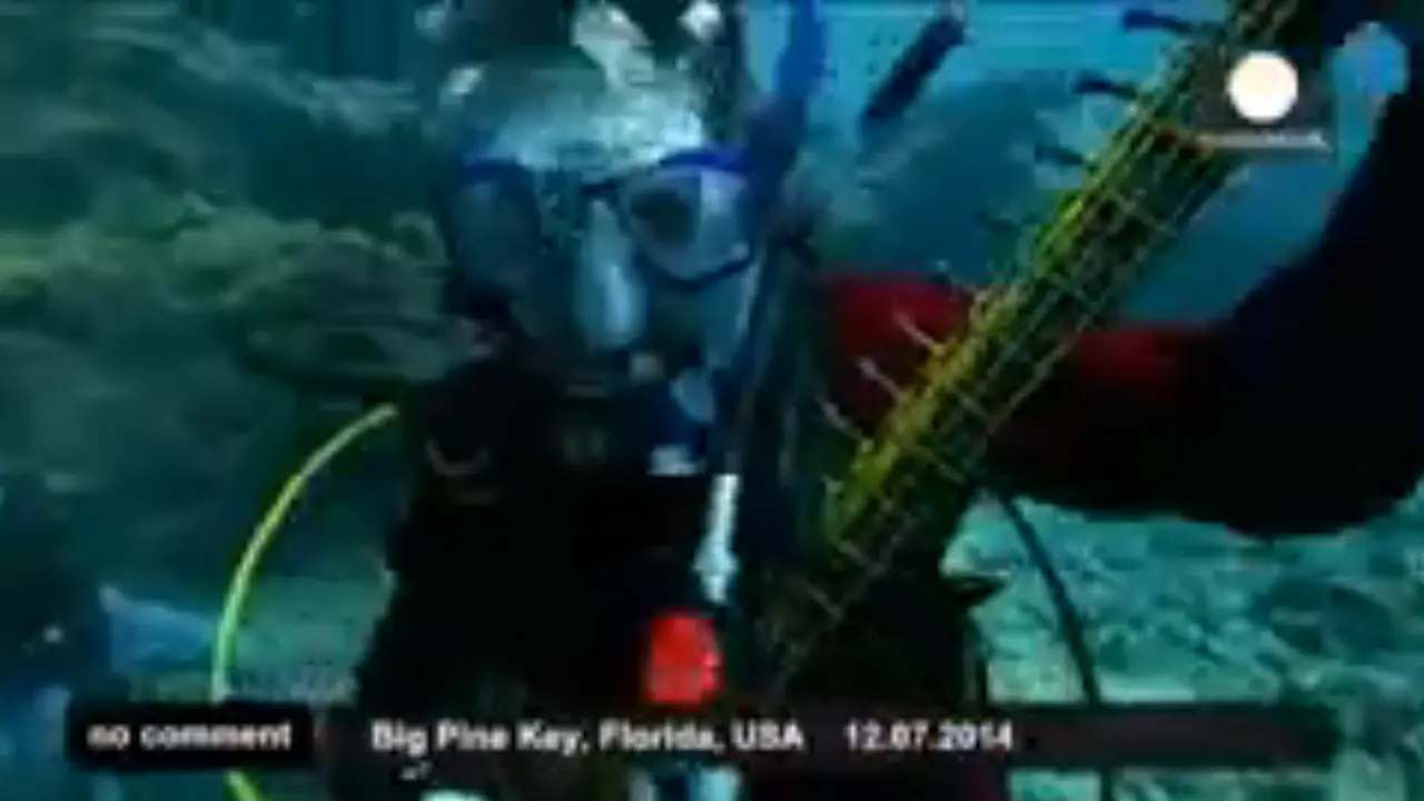 Konser bawah laut. (YouTube)