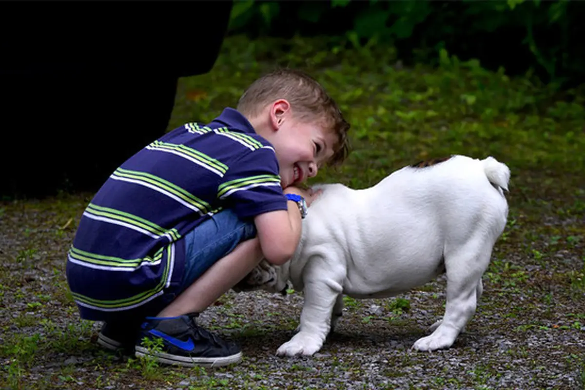 Ilustrasi Anak Bermain Bersama Anjing