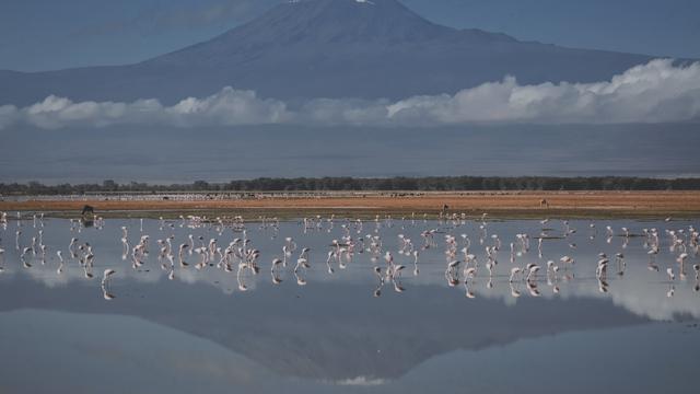 Gunung Kilimanjaro di Afrika. (Dok: Tanya Willmer / AFP)