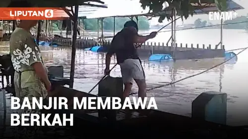 VIDEO: Banjir Bawa Berkah, Warga Mancing Ikan yang Terbawa Arus