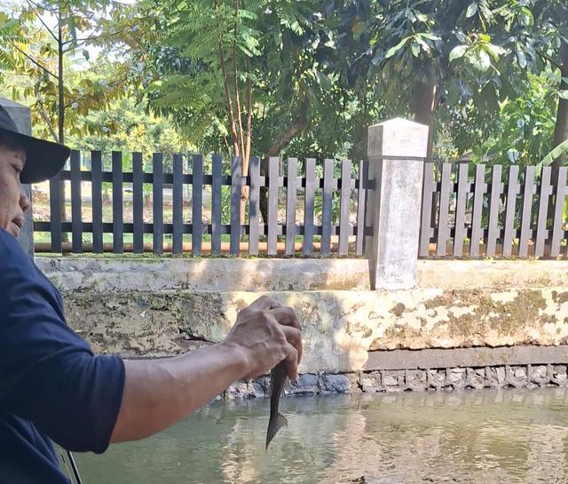 Operasi Ikan Sapu-Sapu di Jakarta