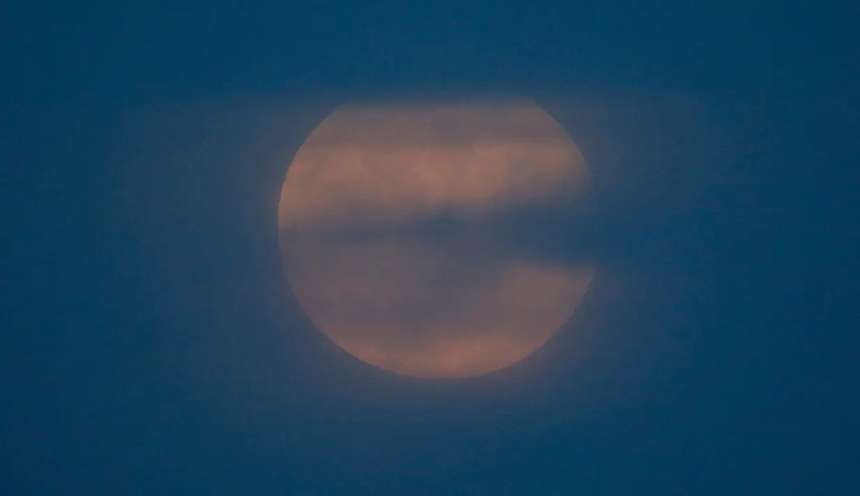Fenomena supermoon terlihat dari Kenneth Hahn Park di Los Angeles, Minggu (20/1). Supermoon di awal tahun ini termasuk peristiwa langit yang cukup istimewa dan ditunggu masyarakat diseluruh penjuru dunia. (AP/Ringo H.W. Chiu)