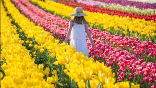 Seasonal Zodiac Colors